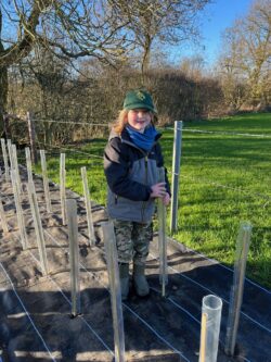 Planting a boundary hedge at the club field, January 2024
